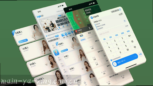 掌上浏览｜指尖直达内容