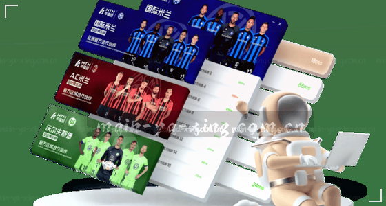 如何通过手机或电脑访问系统？